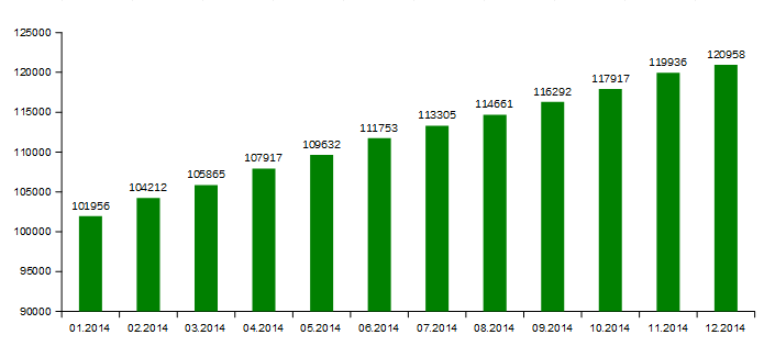 .KZ (01.2014 - 12.2014) доменіндегі домендік есімдердің динамикалық өсуі